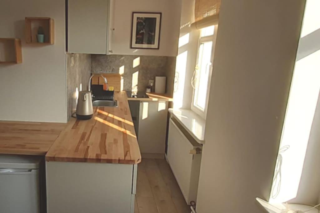 Lemuria Apartament Szkolna Centrum Legnica Dış mekan fotoğraf