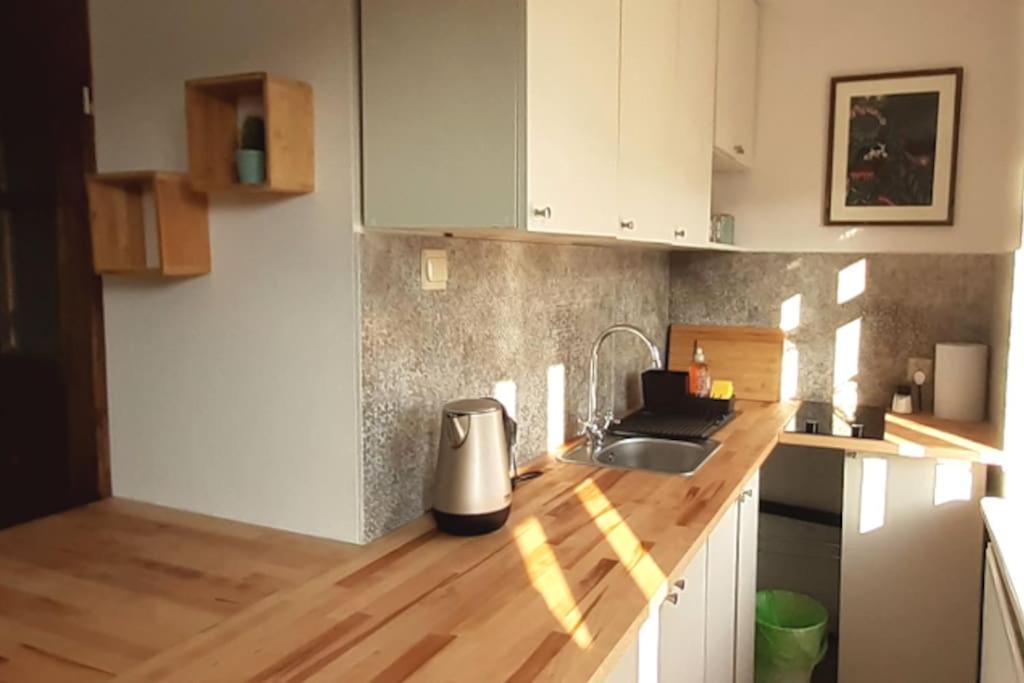 Lemuria Apartament Szkolna Centrum Legnica Dış mekan fotoğraf