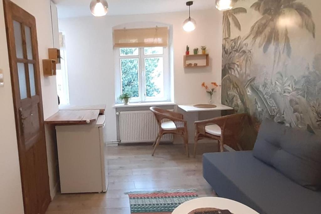 Lemuria Apartament Szkolna Centrum Legnica Dış mekan fotoğraf