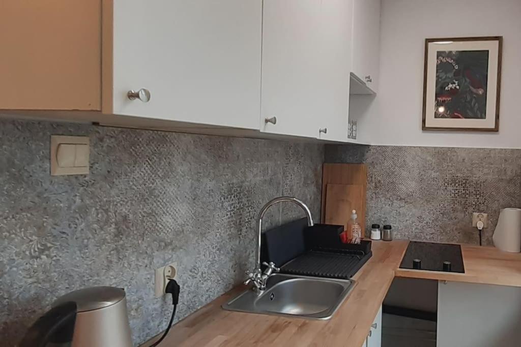 Lemuria Apartament Szkolna Centrum Legnica Dış mekan fotoğraf
