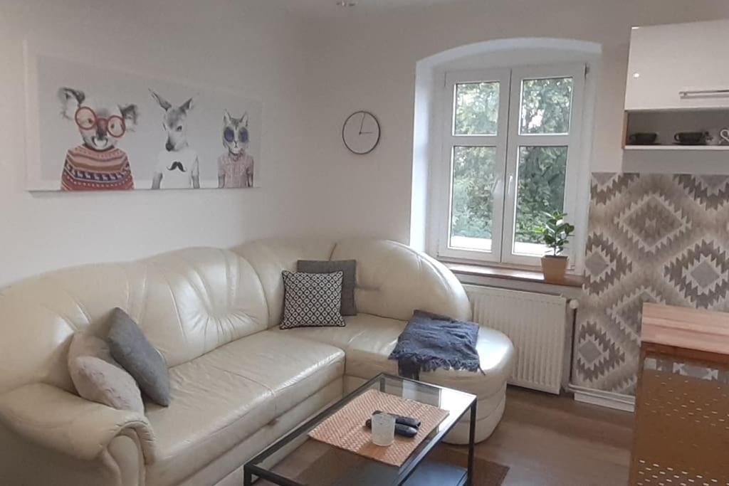Lemuria Apartament Szkolna Centrum Legnica Dış mekan fotoğraf