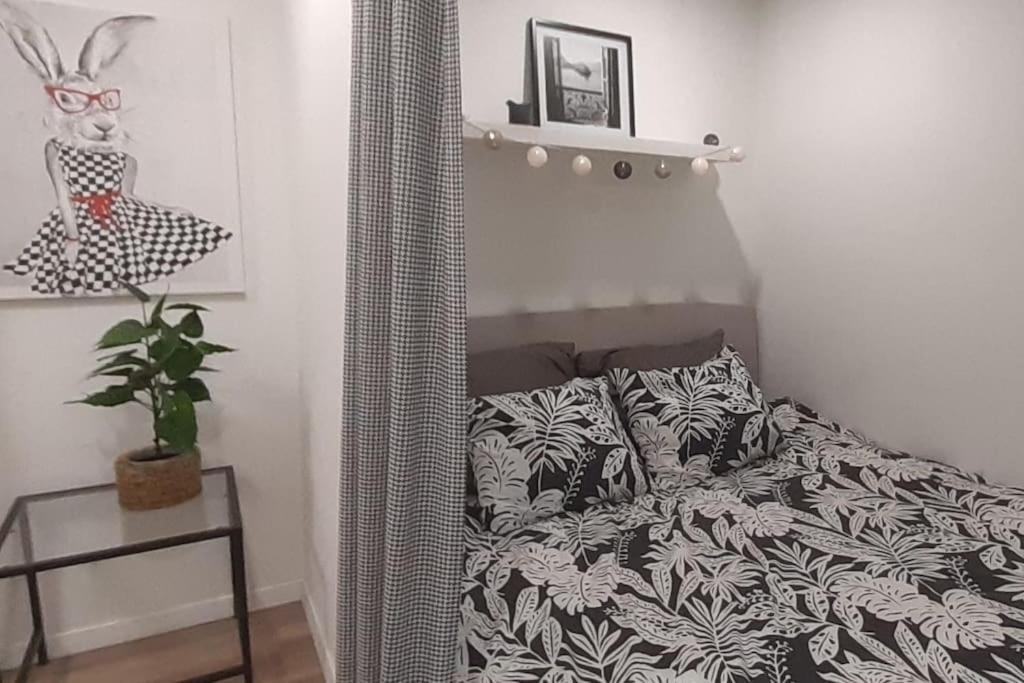Lemuria Apartament Szkolna Centrum Legnica Dış mekan fotoğraf