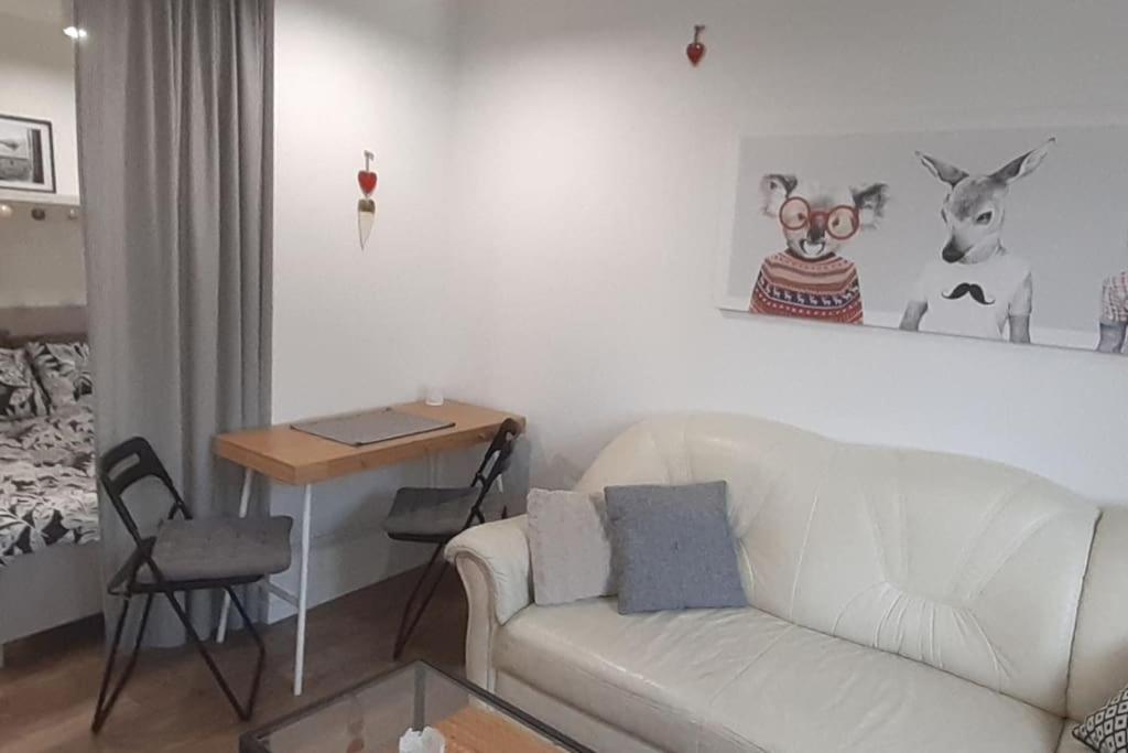 Lemuria Apartament Szkolna Centrum Legnica Dış mekan fotoğraf