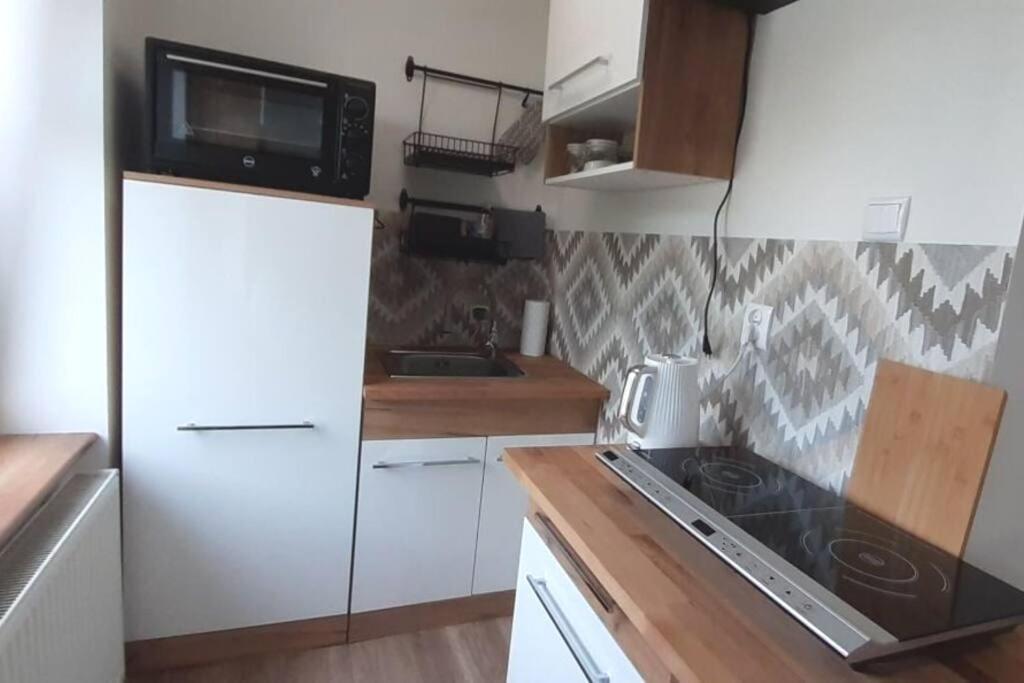 Lemuria Apartament Szkolna Centrum Legnica Dış mekan fotoğraf