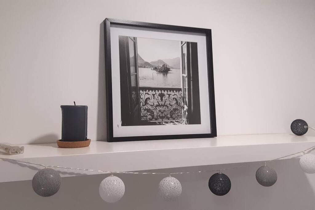 Lemuria Apartament Szkolna Centrum Legnica Dış mekan fotoğraf