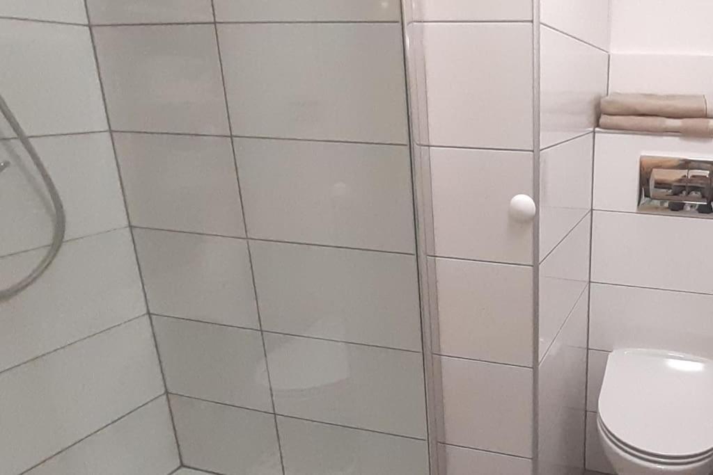 Lemuria Apartament Szkolna Centrum Legnica Dış mekan fotoğraf