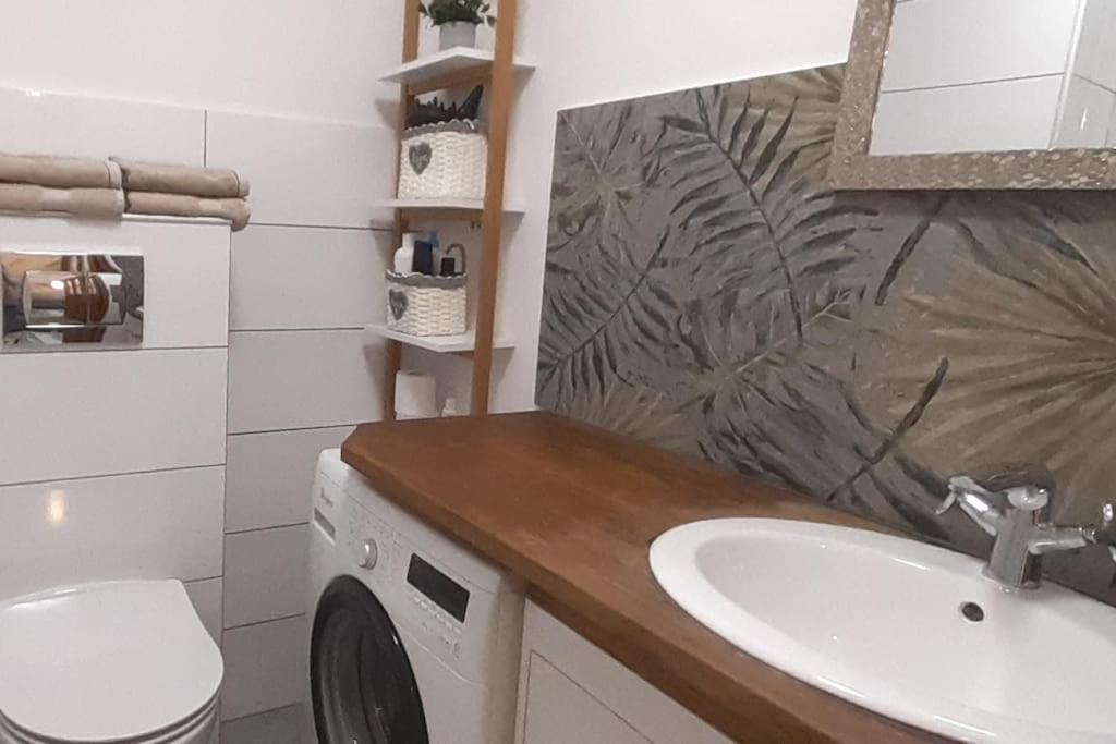 Lemuria Apartament Szkolna Centrum Legnica Dış mekan fotoğraf
