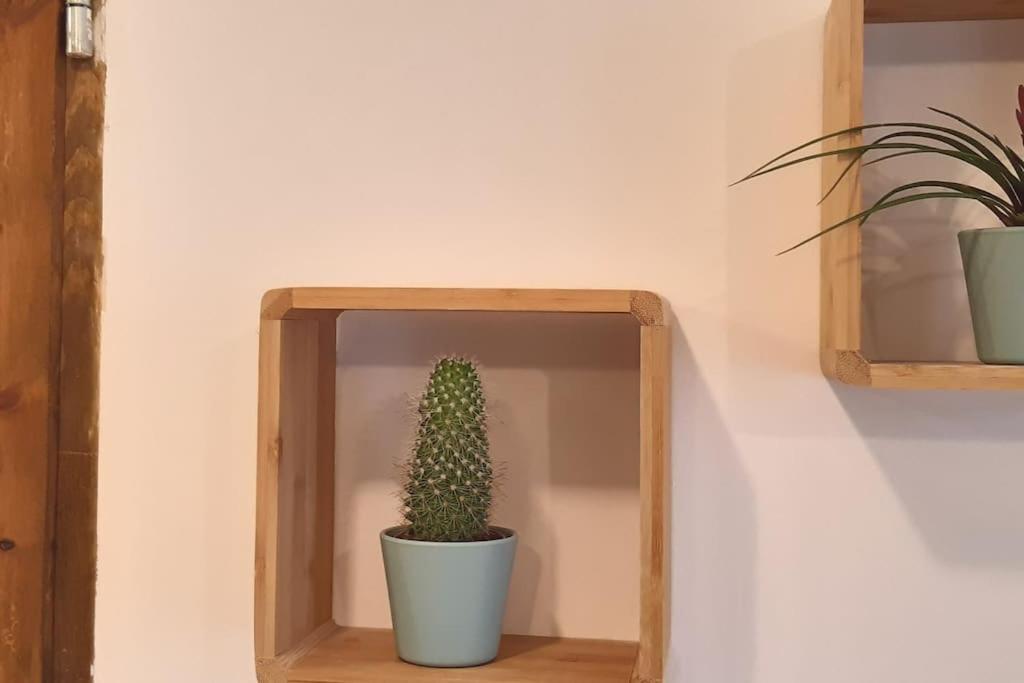Lemuria Apartament Szkolna Centrum Legnica Dış mekan fotoğraf
