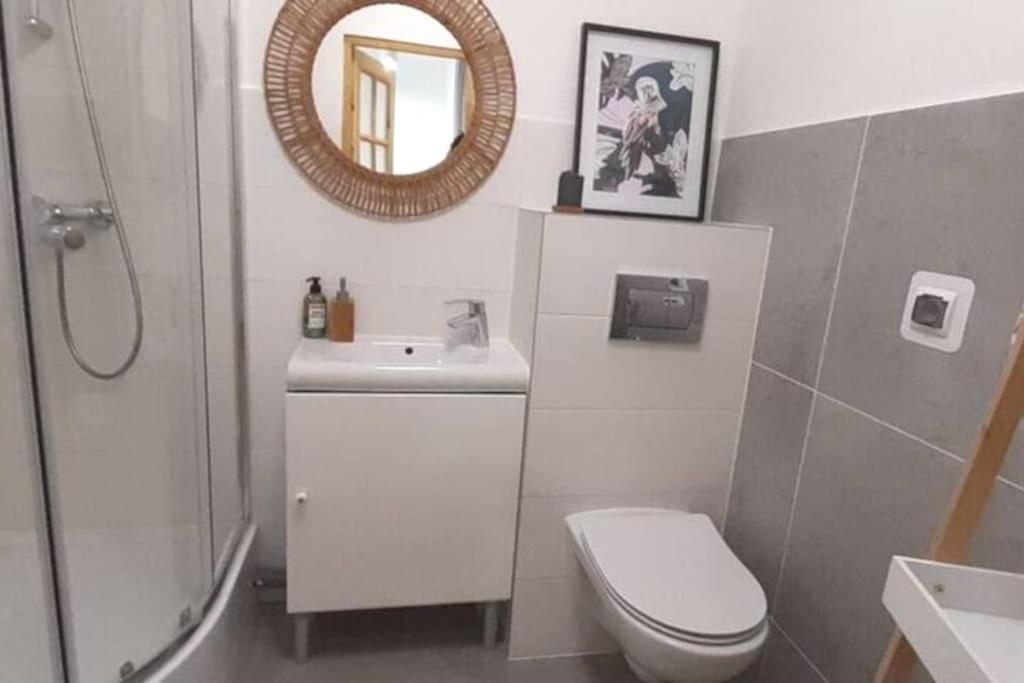 Lemuria Apartament Szkolna Centrum Legnica Dış mekan fotoğraf