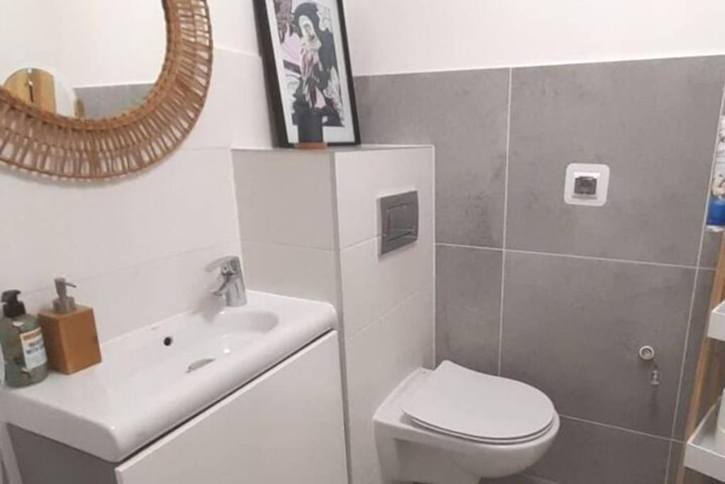Lemuria Apartament Szkolna Centrum Legnica Dış mekan fotoğraf